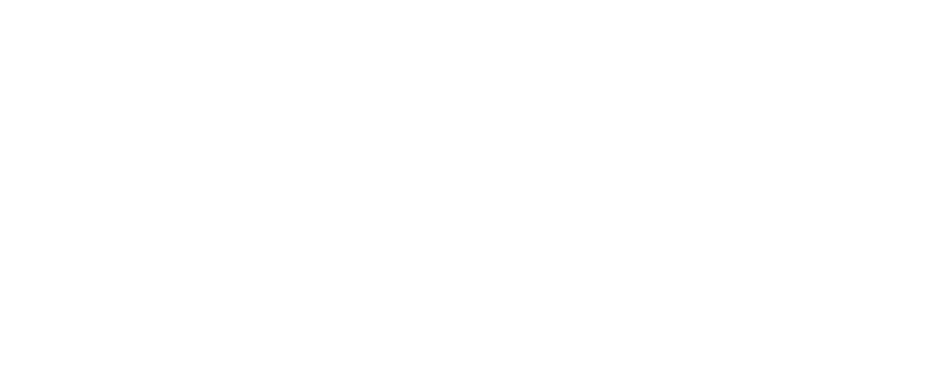 Appier Logo White Small