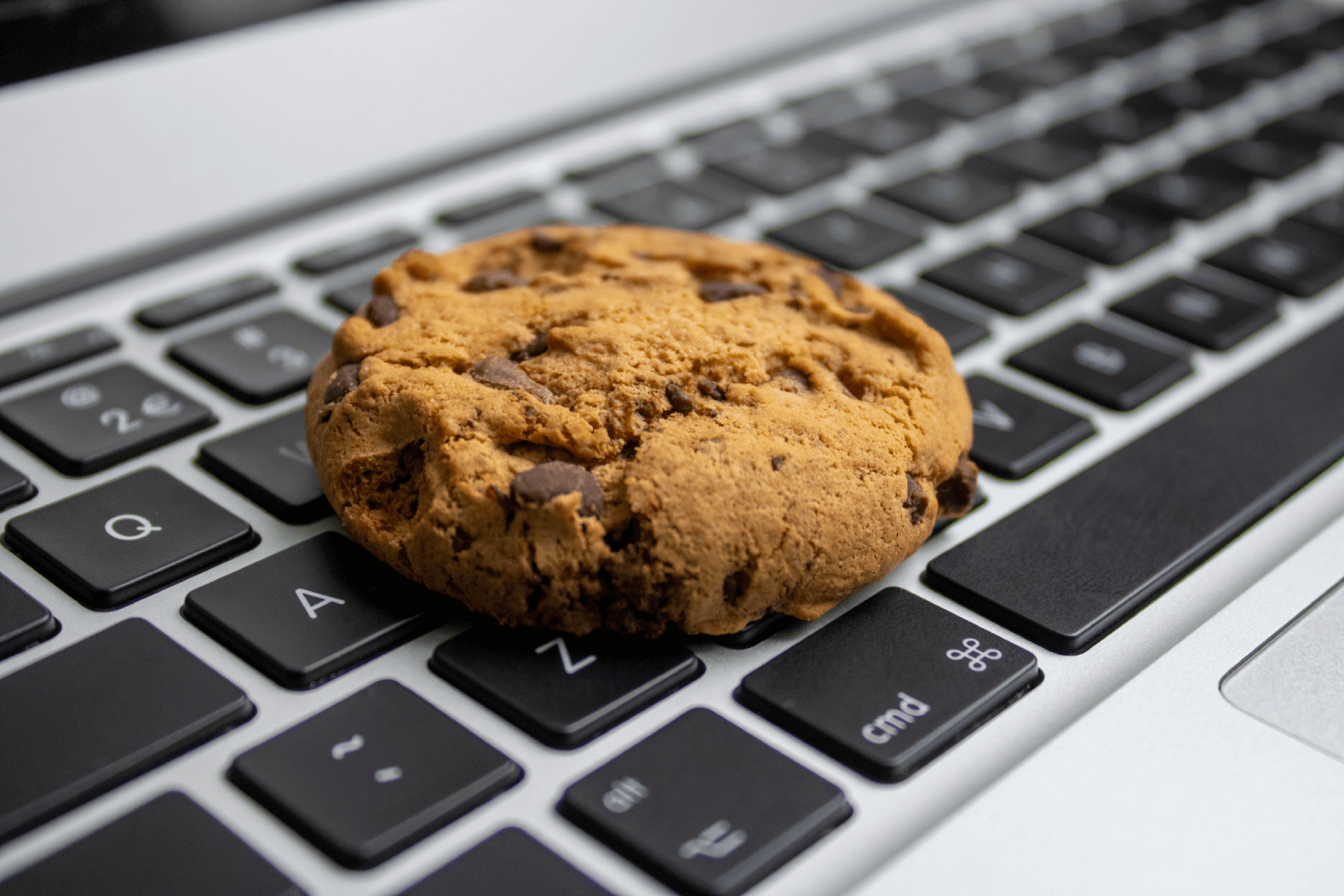 3 Ways Digital Marketers Can Stay Ahead in a Cookieless World